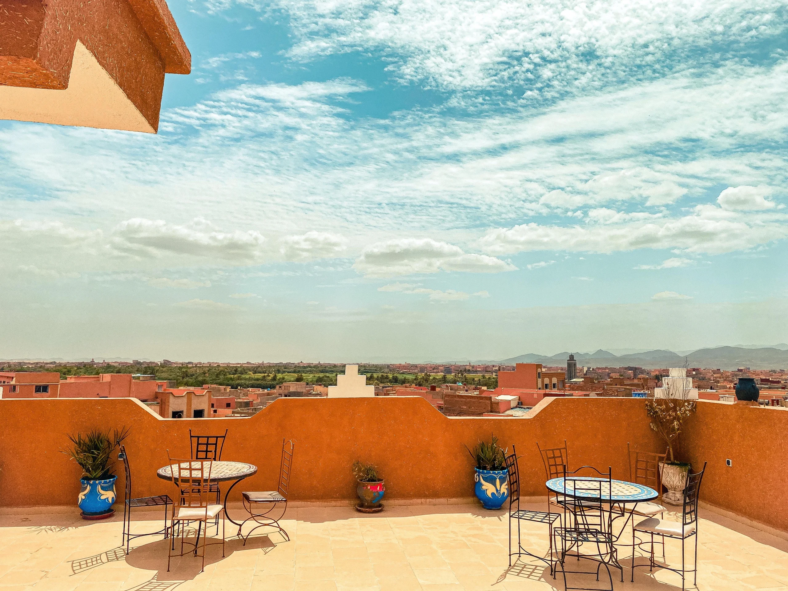 WhatsApp Image 2026-04-12 at 21.11.56