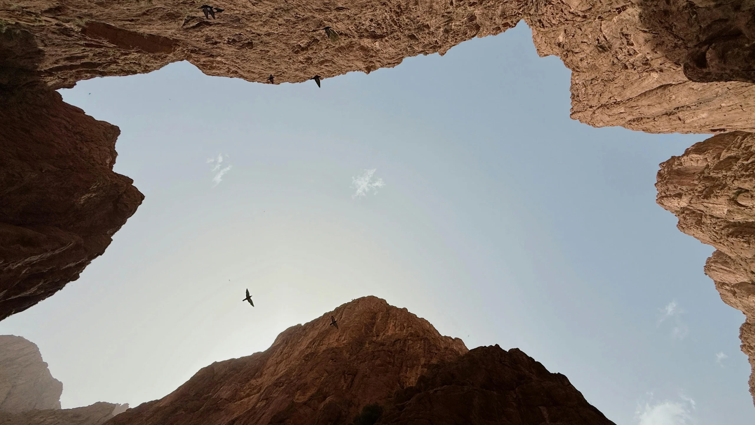 pexels-1093389518-31703993 1