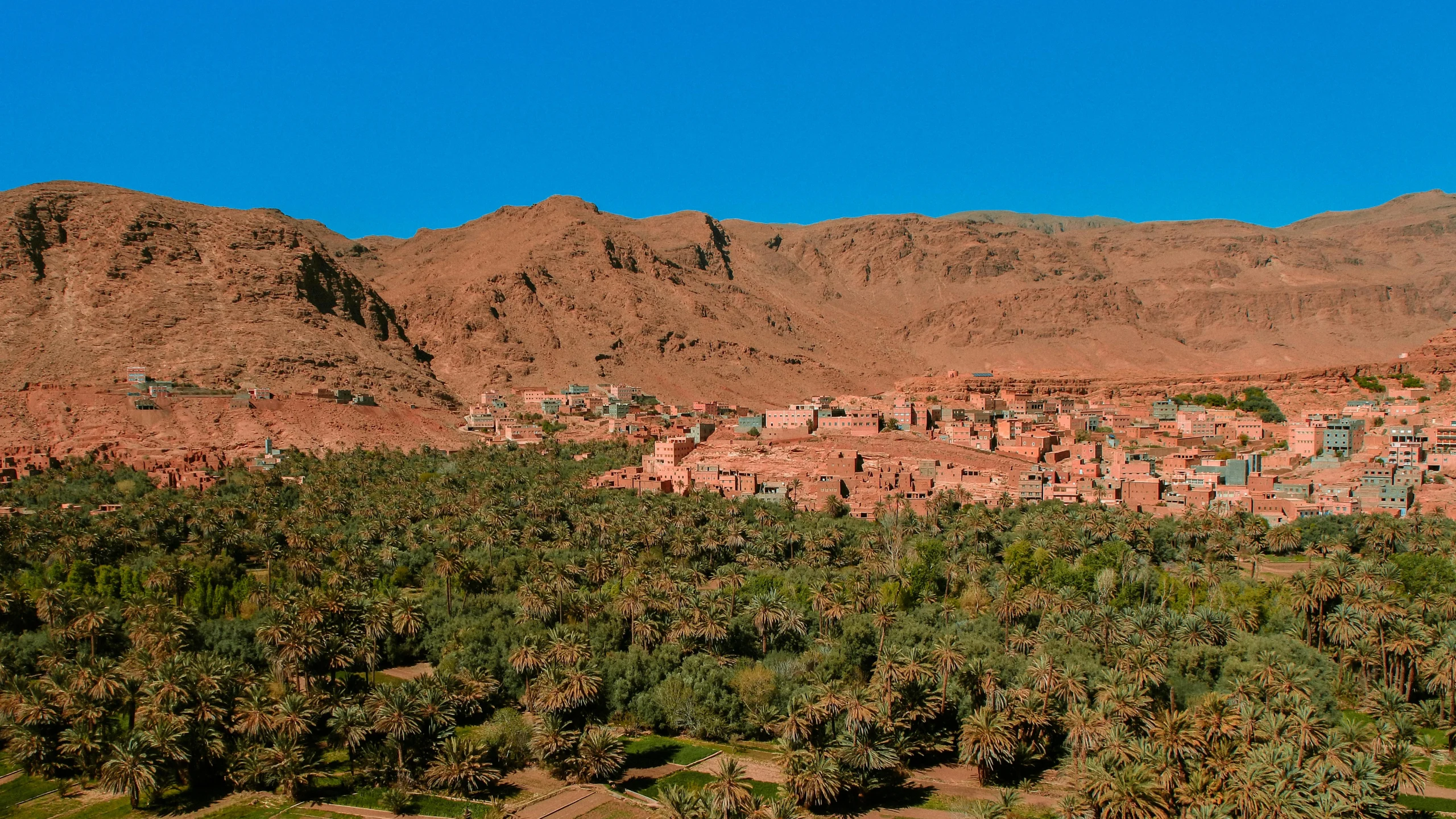 pexels-drethousand-8571115 1