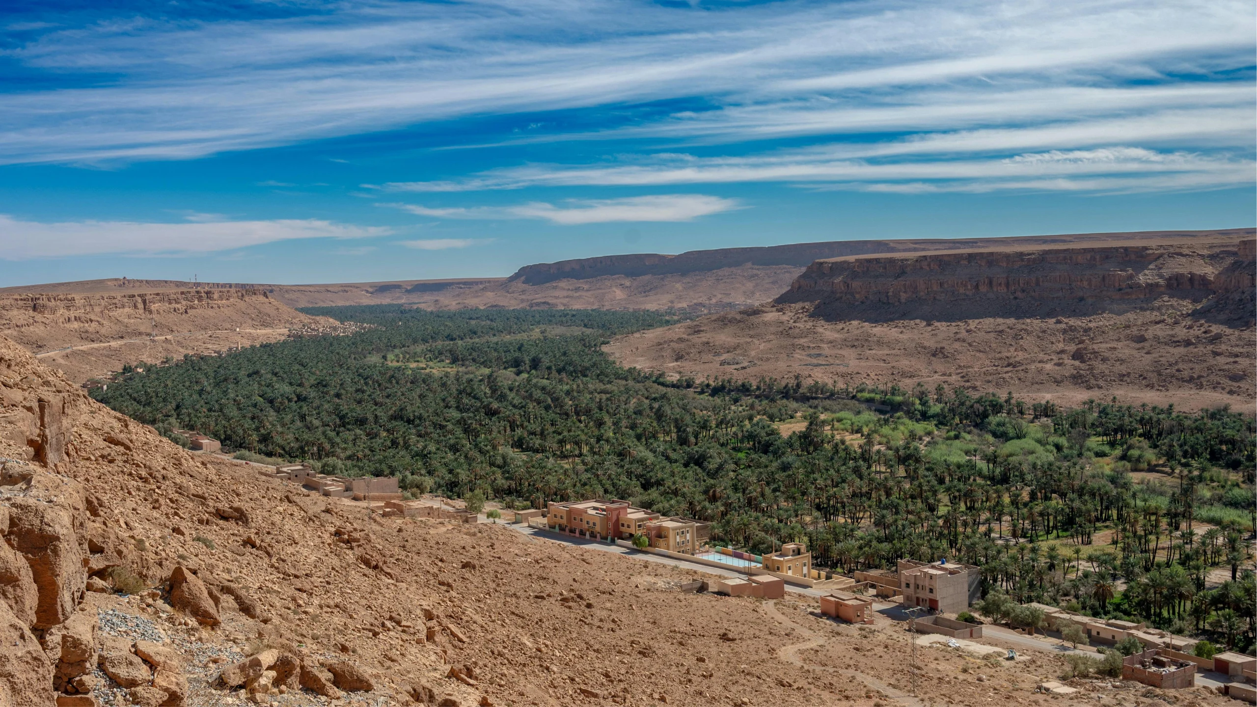 pexels-taha-bensalmia-2153003645-36430916 1